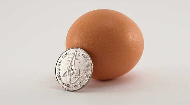 Article : Le Franc CFA : une question de fond, et non une question de forme !